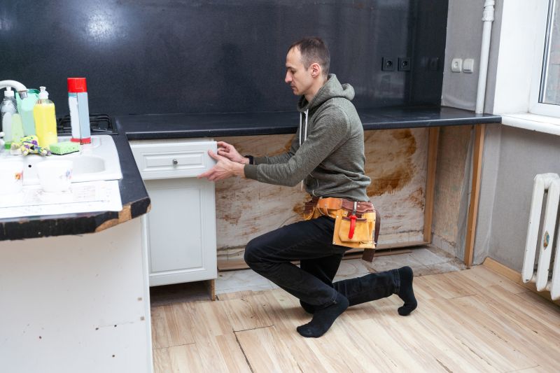 Cabinet Door Repair detail